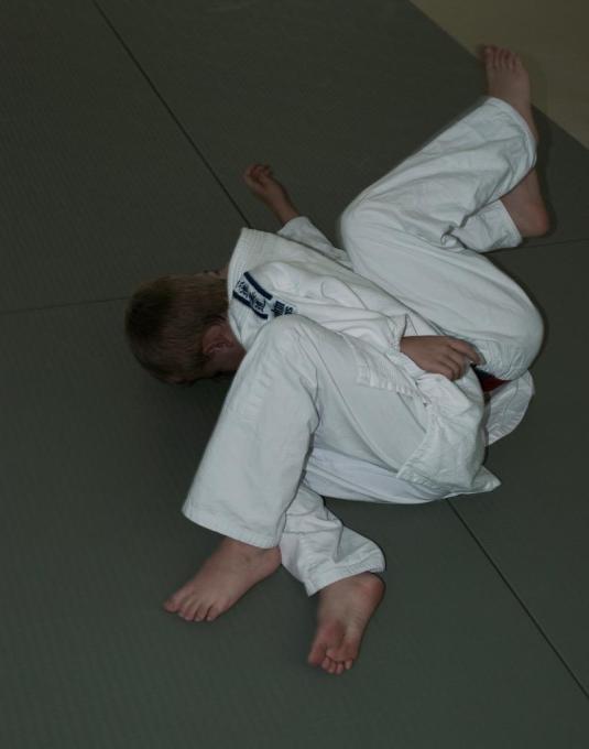 judo